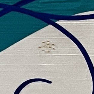 dupioni silk and beading detail