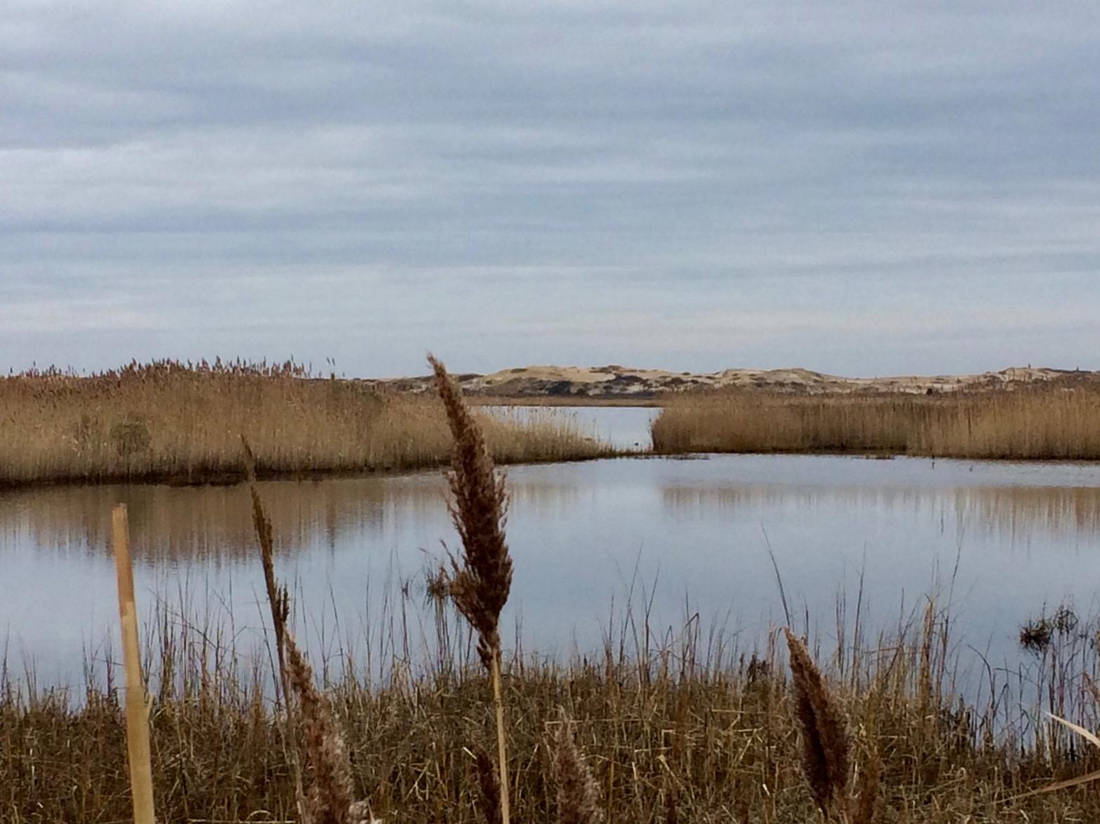The stunning dunes and ocean-scape that inspired the design for the St. Mary's installation.